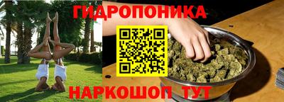 стаф Кимры